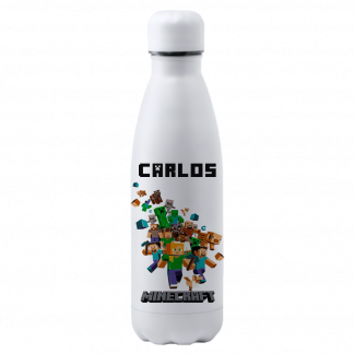 Botellas minecraft